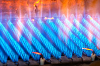 Dawley gas fired boilers